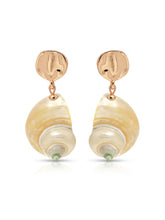 Sunken Treasure Shell Earrings