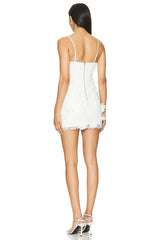 Brias Mini Dress