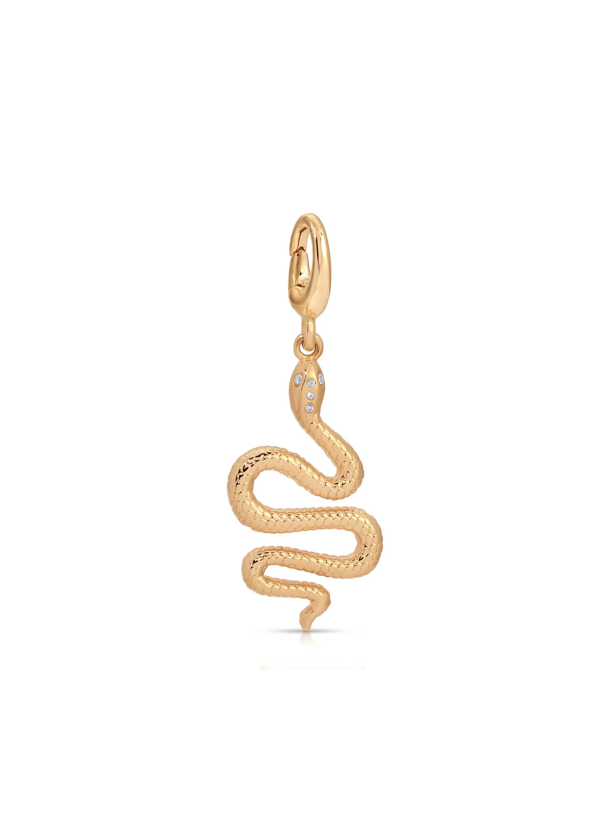 Snake Charm