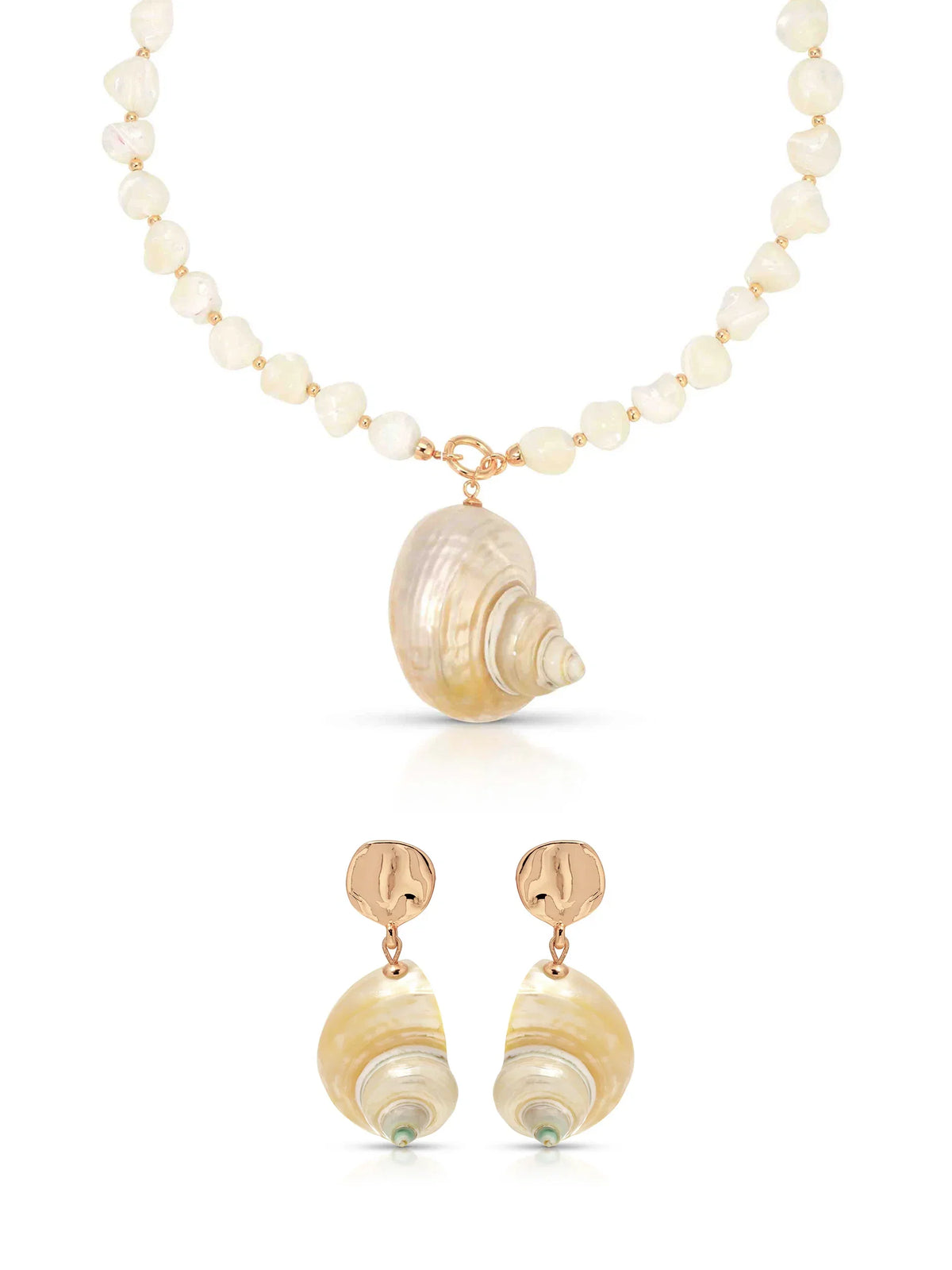 Sunken Treasure Shell Set