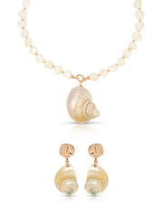 Sunken Treasure Shell Set